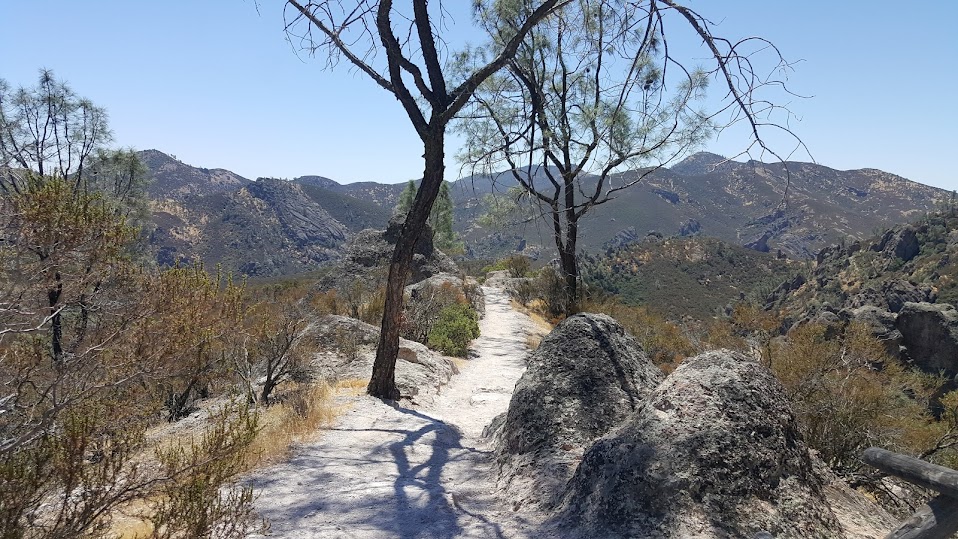 A dry but more forested path through a valley