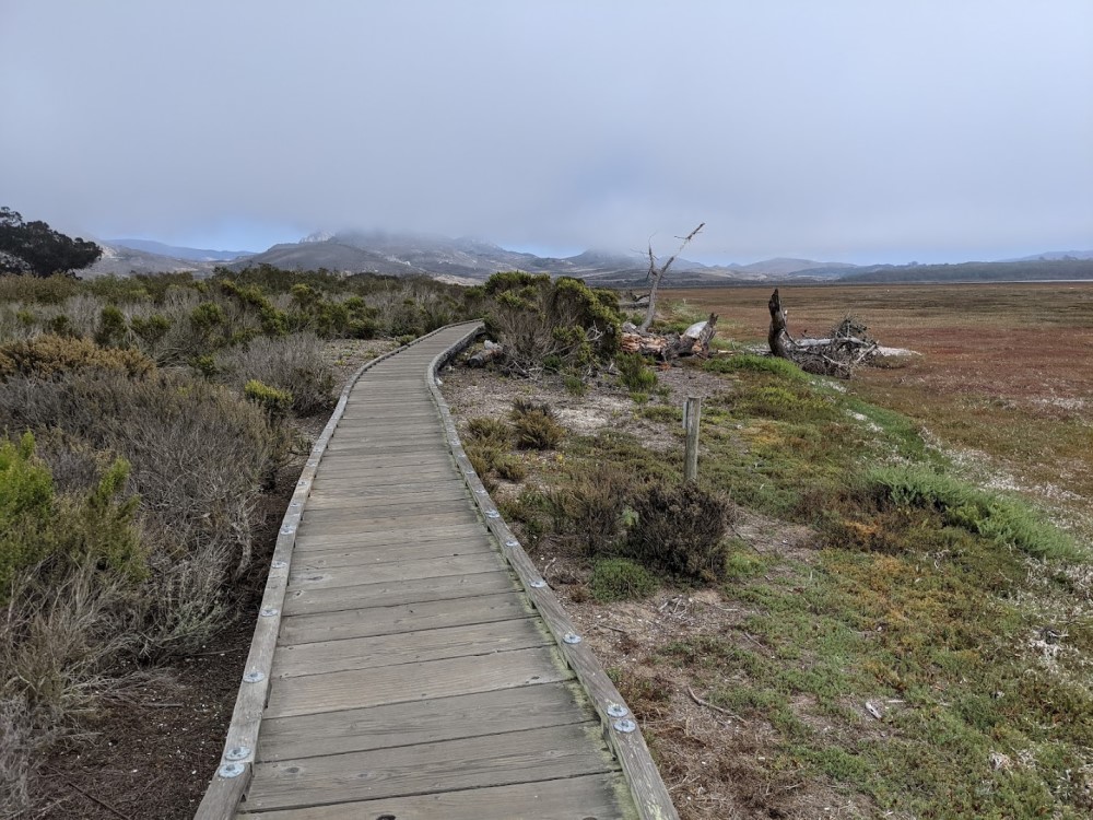 From the same boardwalk, which goes forward towards the same hills, but to the left this time the ground is covered in knee-high schrubs.