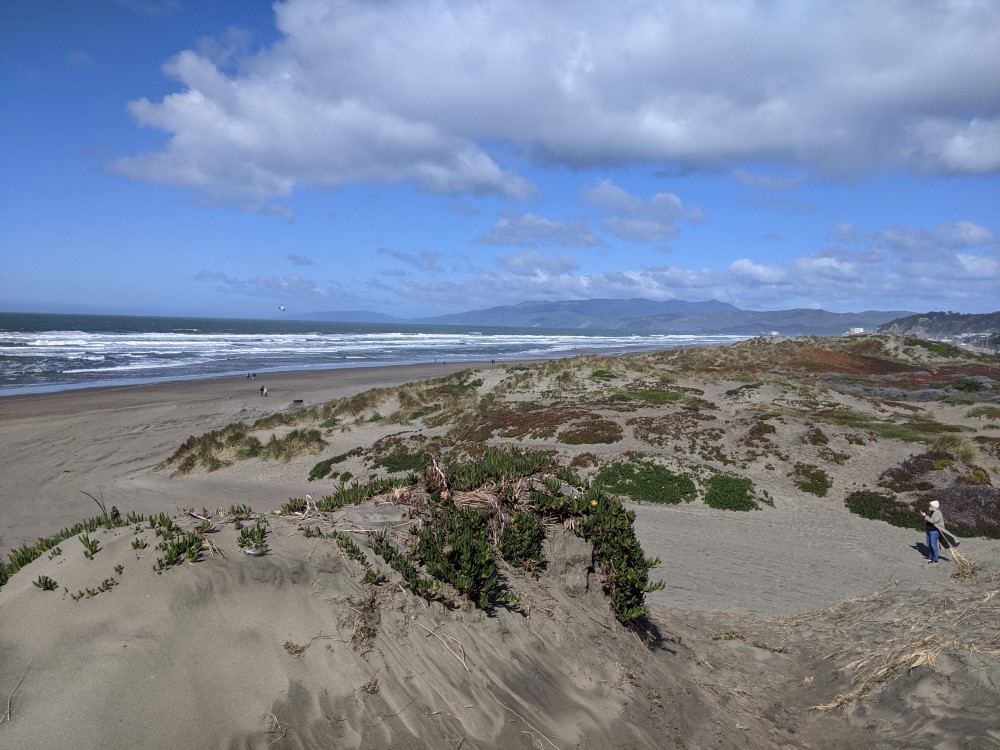 Sand dunes by the sea, dotted with plants a few inches high