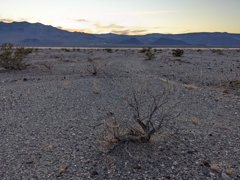 A dead bush in the foreground. Bushes, alive and dead, scattered in rocky bare soil that continues for miles. Beyond it, mountains, and the sunset.