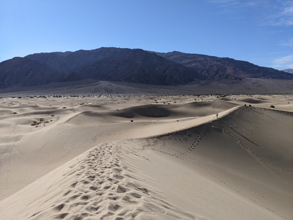 Tall dunes forming ridges. The ridges are covered in footprints and in the distance people are walking on them, but footprints also branch out up and down the slope. Mountains beyond the dunes.